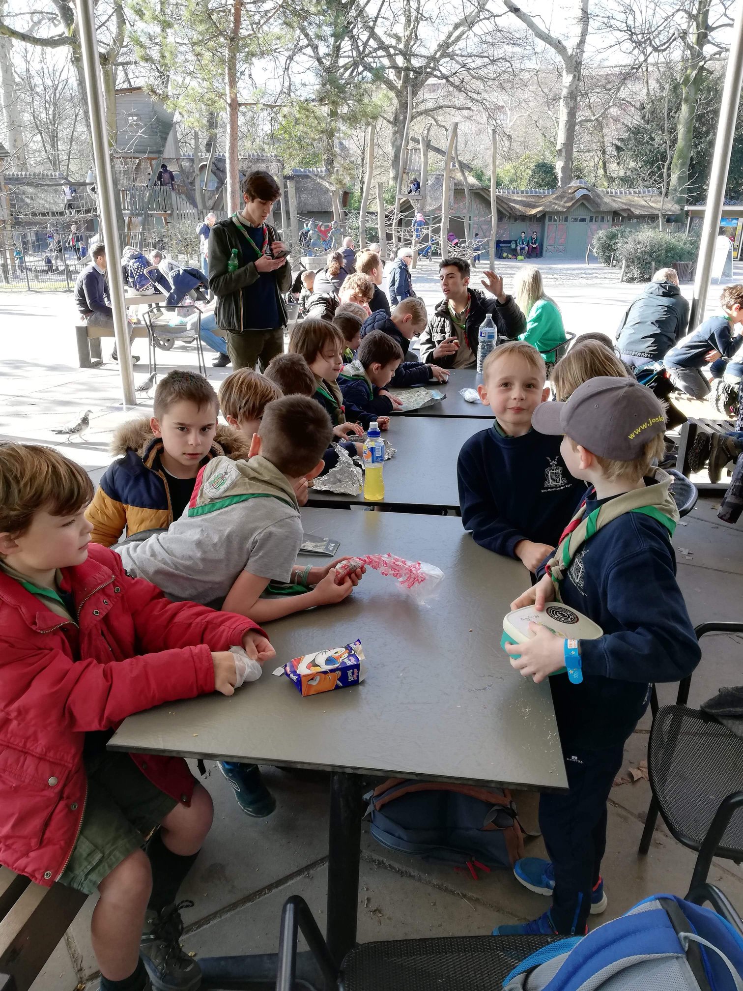 Sint-Martinus den XIIde - Zoo Antwerpen Kapoenen